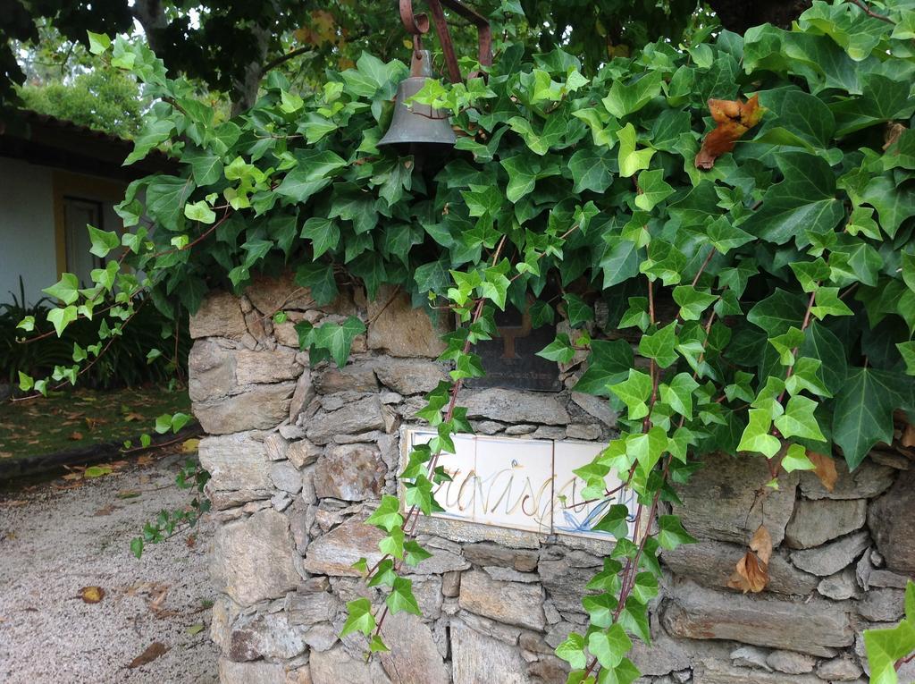 カステロ・ド・ボージ Quinta Do Troviscalヴィラ エクステリア 写真